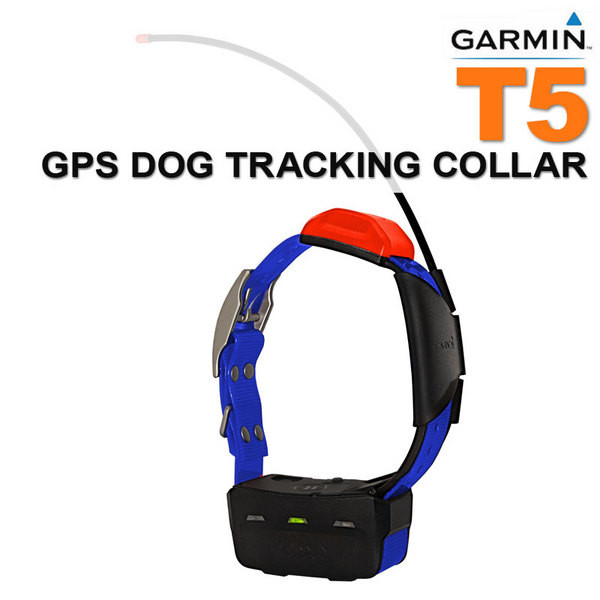 cheap tracking collars