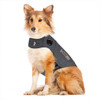How Dog Anxiety Vests Work and When You Should Use It