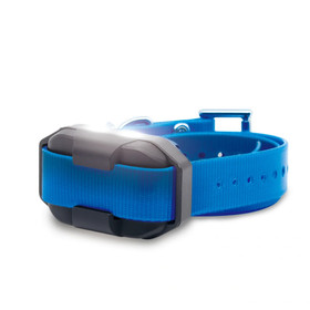 Dogtra Edge 2 add-a-dog Training Collar Blue