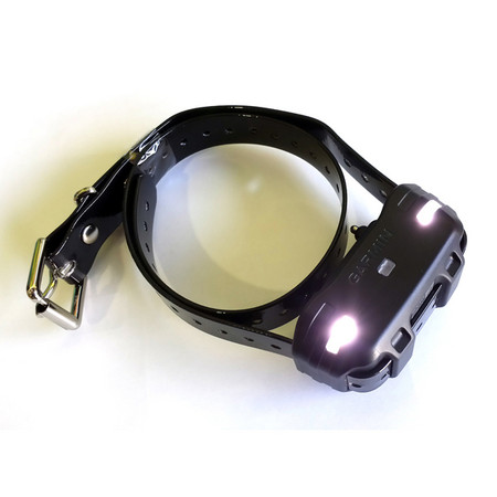 Garmin sport pro collar only discount
