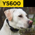 Dogtra YS600 Bark Control Collar - Large Dogs