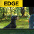 Dogtra Edge Hunting Dog Training 2 Collars Kit