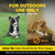 Extra Collar for Dogtra Wireless Smart Dog Fence System