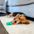 Happy Staffy Chomp Carrot Tough Dog Toy