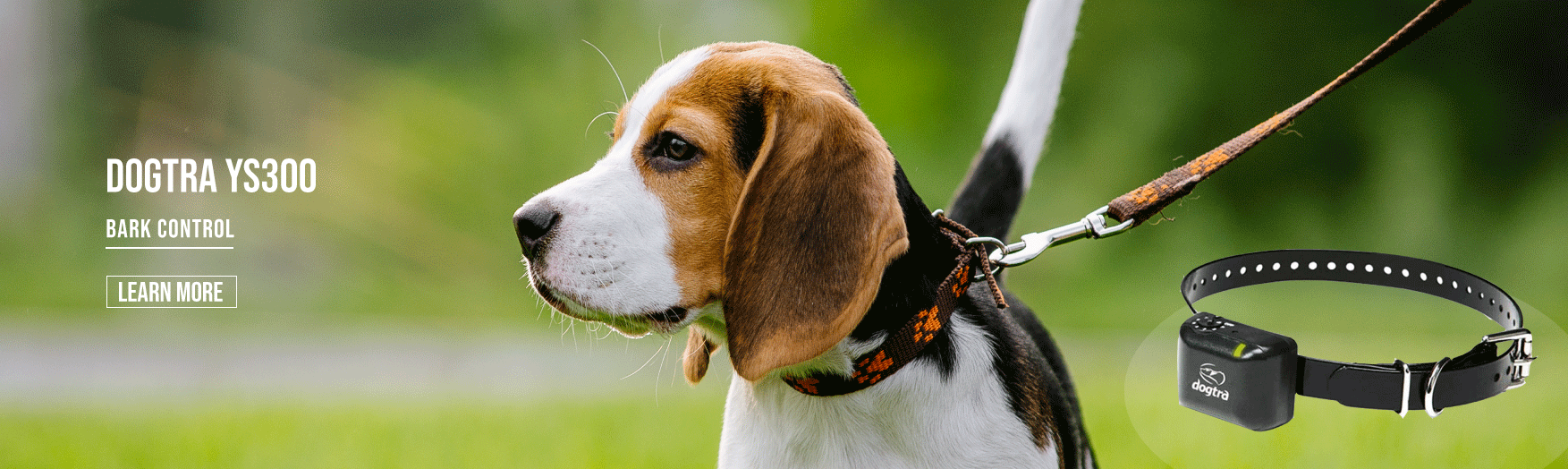 best bark collar for hounds