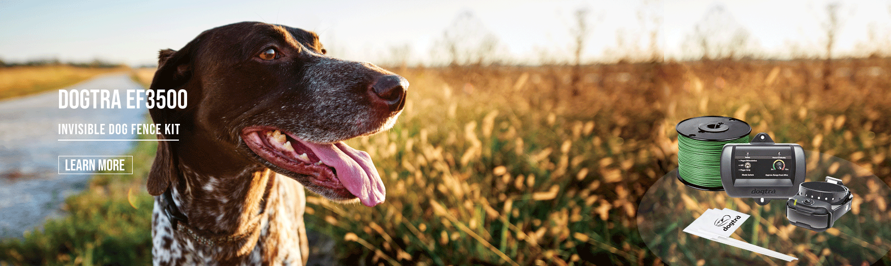 Original Designs Underground Fence Collar for Dogs