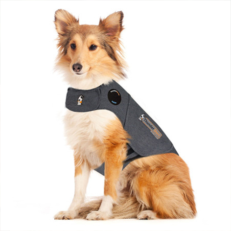 How Dog Anxiety Vests Work and When You Should Use It How Dog Anxiety Vests Work and When You Should Use It