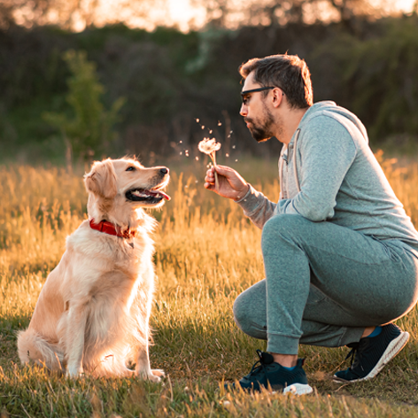 ​How to create a strong bond with your dog