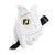 FootJoy StaSof Golf Glove