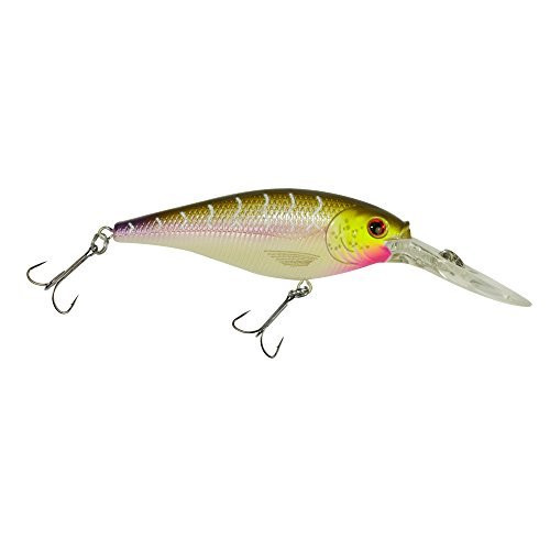 Berkley Flicker Shad Fishing Lure, Purple Tiger, 3/16 oz, 2in | 5cm Crankbaits, Size, Profile and Dive Depth Imitates Real Shad, Equipped with Fusion19 Hook