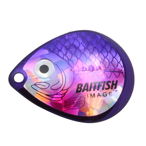 Northland Tackle HCDC4-CP Baitfish-Image Blades #4 3/BG Cisco Purple