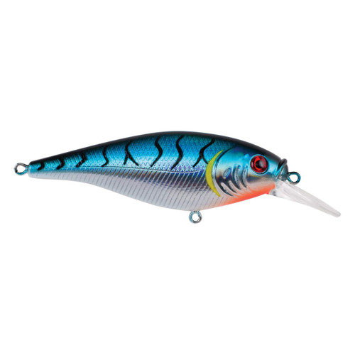 Berkley Flicker Shad Shallow Fishing Lure, Blue Tiger, 1/6 oz, 2in | 5cm Crankbaits, Size, Profile and Dive Depth Imitates Real Shad, Equipped with Fusion19 Hook