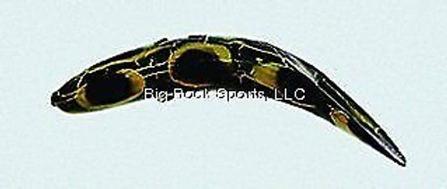 Wordens 961-FR T-50 Flatfish