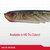 Berkley PowerBait Ripple Shad Fishing Soft Bait, Fool's Gold, 2"