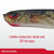 Berkley PowerBait Ripple Shad Fishing Soft Bait, Fool's Gold, 2"