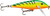 Rapala Countdown 7/16 Oz Fishing lure (Firetiger, Size- 3.5)