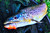 Berkley PowerBait Power Nymph,Chartreuse Silver Fleck,1" (12 Count)
