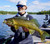 Northland Fishing Tackle Deep Vee Jig - Precision Keel Design for Fast Sinking and Straight Tracking, Chartreuse, 1/8 Oz
