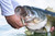 Berkley PowerBait The Champ Minnow Fishing Soft Bait, Green Pumpkin, 3.4in