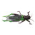 Creme 5134-22 Grasshopper/Grn