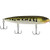 Berkley J-Walker 120 Topwater Fishing Lure, Maverick, 2/3 oz, | 120mm, Tail Weighted Design Tuned for Casting Distance, Equipped with Fusion19 Hook