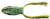 BOOYAH Poppin' Pad Crasher Topwater Bass Fishing Hollow Body Frog Lure with Weedless Hooks, Leopard Frog