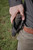 BLACKHAWK Omnivore Multi Fit Non Light Bearing Pistol Case, Right, Black, One Size