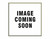 Motorad 270-192 Thermostat
