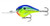 Rapala Dives-to 3/8 Oz Fishing lure (Parrot, Size- 2)