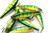 LUCKY CRAFT Pointer 100 (280 Aurora Green Perch)