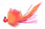 Aerojig Company Twitching Jig - 1/2 Cerise/Peach/Cerise