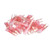 Seachoice Heat Shrink Insulated Disconnect, Marine Grade Heat-Shrinkable Female Disconnect Terminals, Red, Pack of 25, 22-18 Wire Range