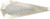 Mini T Ford Fender Nickel/Silver Prism-Lite
