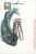 Bead Chain R62L Lock Swivel Fishing Tackle, 35 lb
