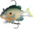 Storm WildEye Live Sunfish 02 (Sunfish, Size- 2)