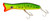 Halco Roosta Popper 160 Trolling Lure