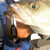 Acme Kastmaster Fishing Lure, Tiger Glow, 1/12 oz.