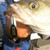 Acme Kastmaster Fishing Lure, Tiger Glow, 1/12 oz.