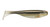 Storm Largo Shad 3.5 Arkansas Glow