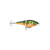 Rapala Balsa Xtreme Jointed Shad 06 Perch Lure, Multi, One Size (BXJSD06P)