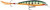 Rapala X-Rap Jerkbait 06 Fishing lure (Perch, Size- 2.5)