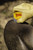 Smith’s 50910 Edge Eater Sharpening Stone – Coarse Grit – Lawn & Garden Tools –