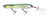 Yo-Zuri R1444-RGZS: 3Db Pencil Popper (F) 110Mm 4-3/8", Real Gizzard Shad