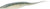 Zoom 023353 Super Fluke , 5 1/4"