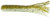 Dry Creek 503LM-DC401 Laminates