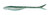 Googan Baits GDT-6-GGS Dart 6", Green Gizzard Shad
