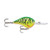 Rapala DT Series Balsa Crankbait Lure 2 In 6 ft Depth 3/8 Oz Firetiger DT06FT