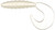 APEX LEGENDS 141476-Maurice Ap Curly Tail Glow, 2""", Multi