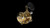 Avet SX 6/4 G2NGP MC RH-GD G2 Series SX 6/4 MC, RH (Gold)
