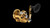 Avet SX 5.3 G2NGP MC RH-GD G2 Series SX 5.3 MC, RH (Gold)